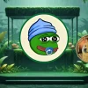 lilpepe doge.webp.webp