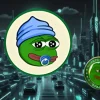 lilpepe pepe coin.webp.webp