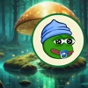 lilpepe.webp.webp