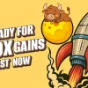moonbull.webp.webp