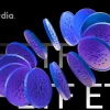 Cardano Now 3rd in Grayscales Top Crypto Assets List E28093 Is an ADA ETF Next.webp.webp