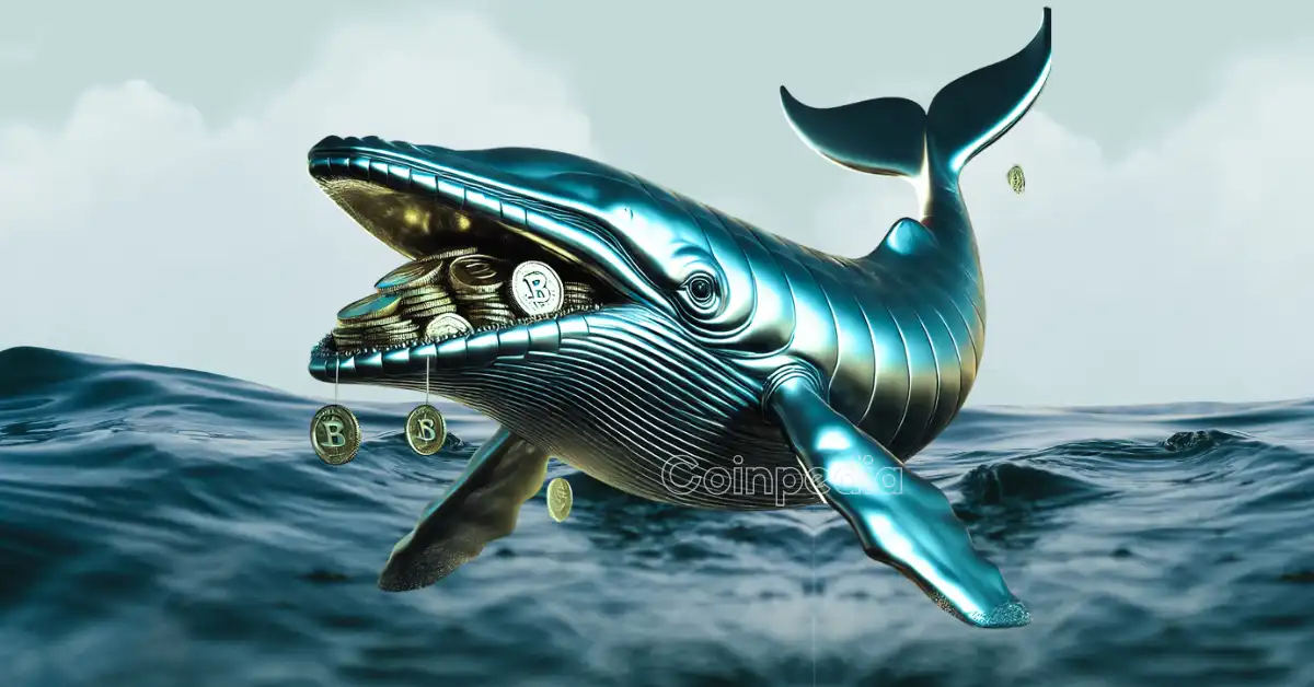 Crypto Whales Are Buying THESE Top Altcoins Before the Next Bull Run.webp.webp