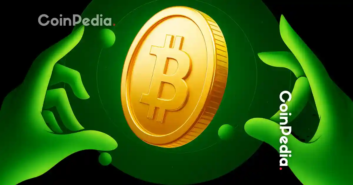 Is the 4 Year Bitcoin Cycle Dead Analysts Warn of Major Shift .webp.webp