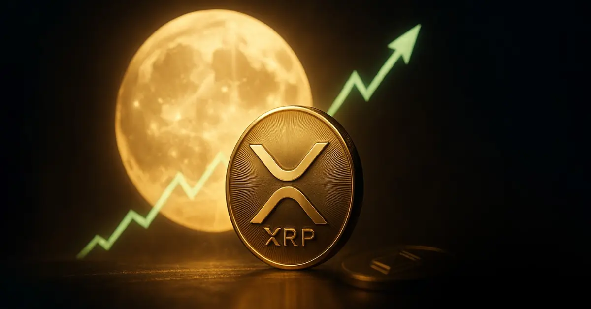 xrp ripple rise.webp.webp