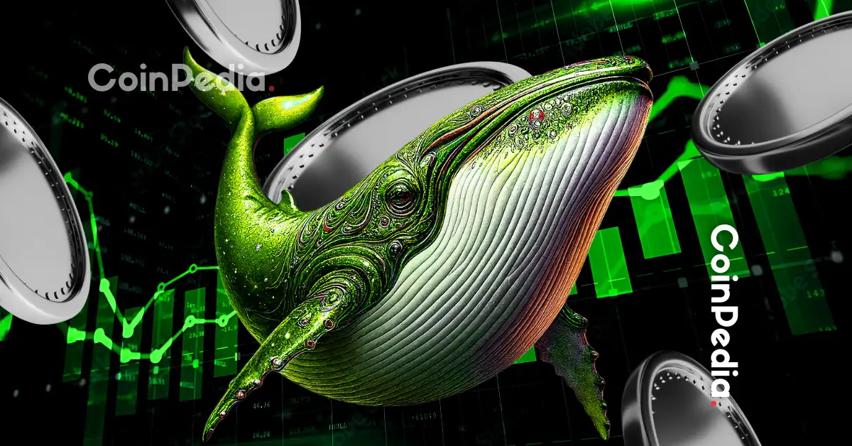 Top 3 Altcoins Whales Are Stacking Right Now 1.webp.webp